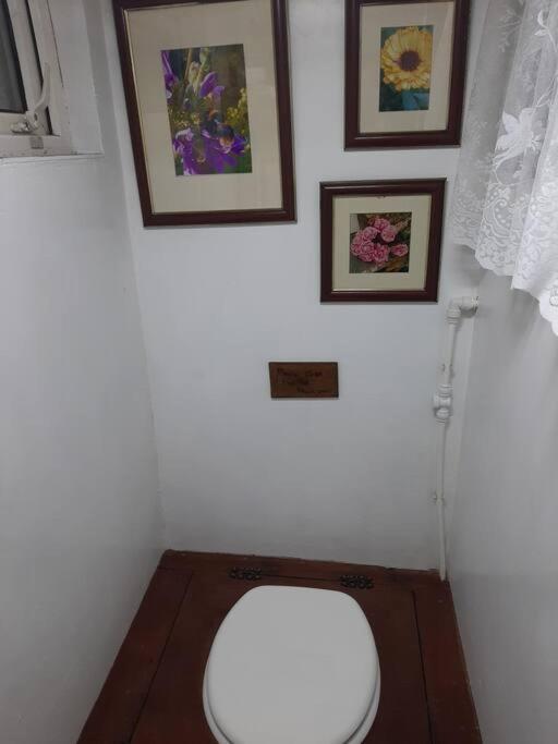 Off Grid Rosie Sheperd Hut And Summerhouse Plus 1 Acre At Tanyrallt Apartment Llanybydder Ngoại thất bức ảnh